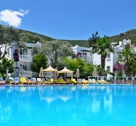 Nish Bodrum منتجع توربا