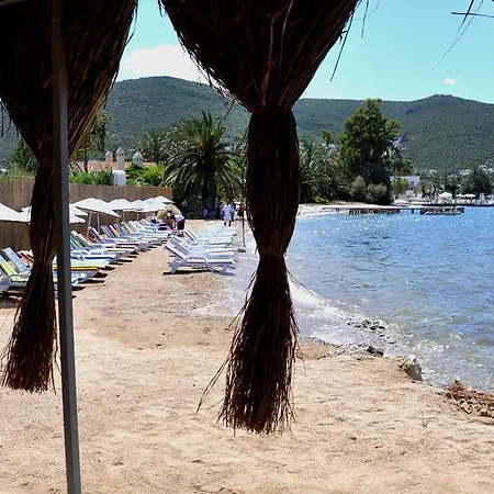 Nish Bodrum توربا